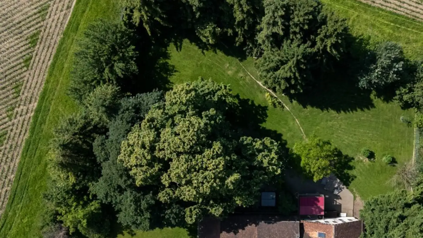 Maison individuelle à vendre - 9450 Altstätten SG - Photo 2