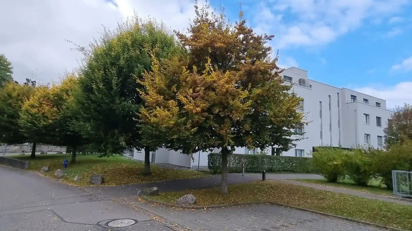 Appartement à vendre - Webereistrasse 19, 5703 Seon