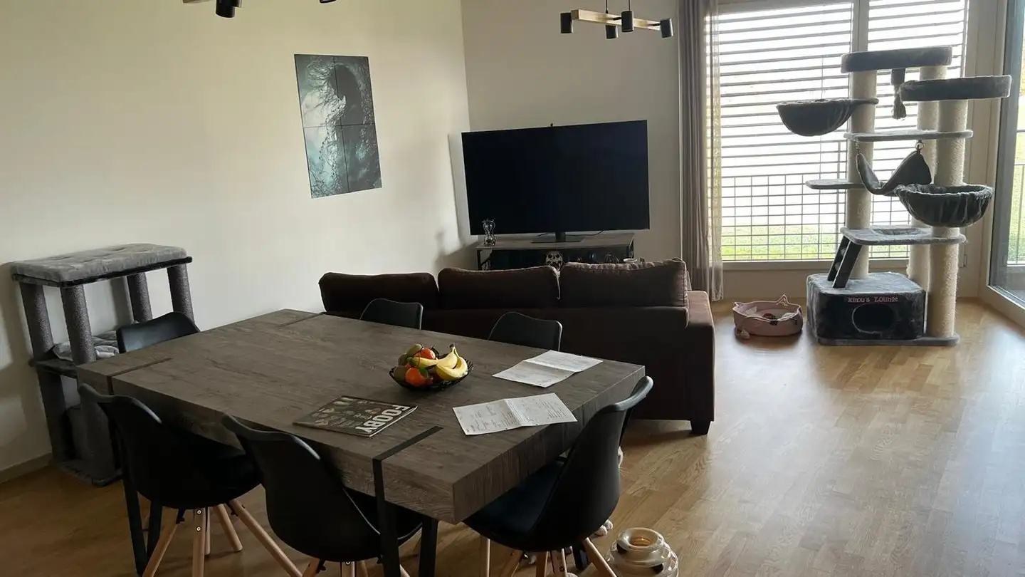 Appartamento in affitto - Chemin Falconnier 59, 1260 Nyon