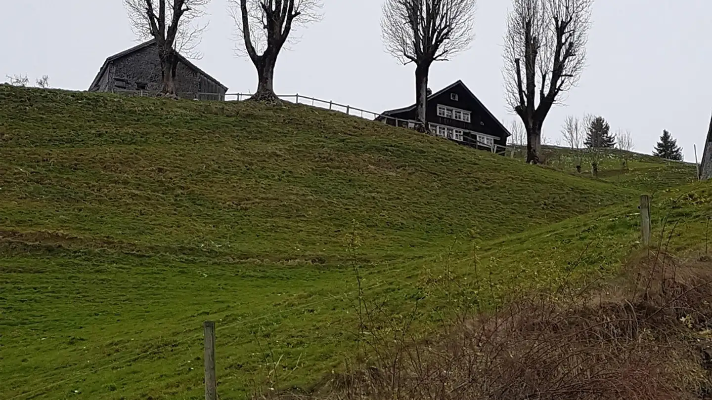 Fattoria in vendita - Schlatterstrasse, 9050 Appenzell Schlatt - Foto 4