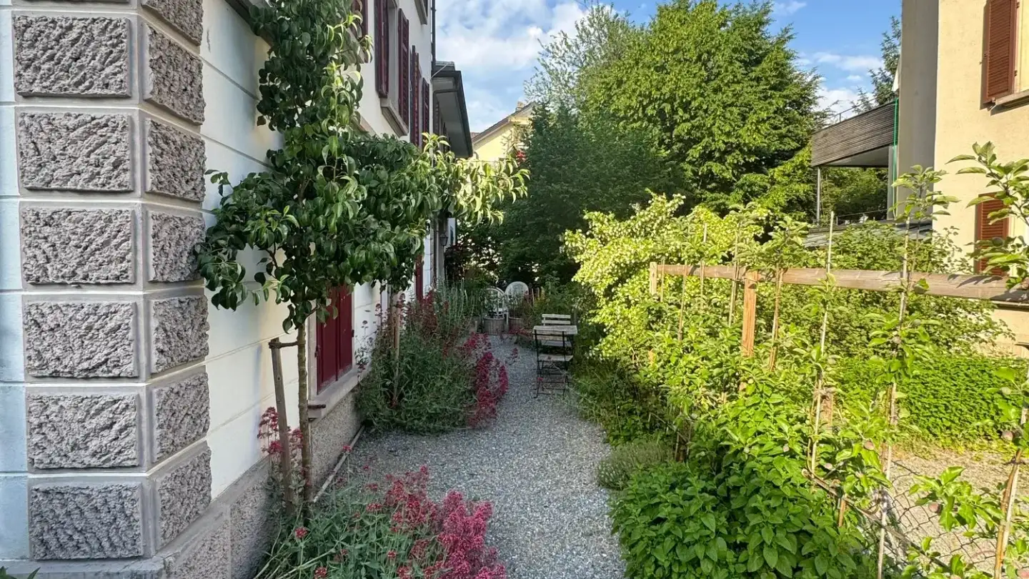 Appartement meublé à louer - Neudorfstrasse 14, 8820 Wädenswil