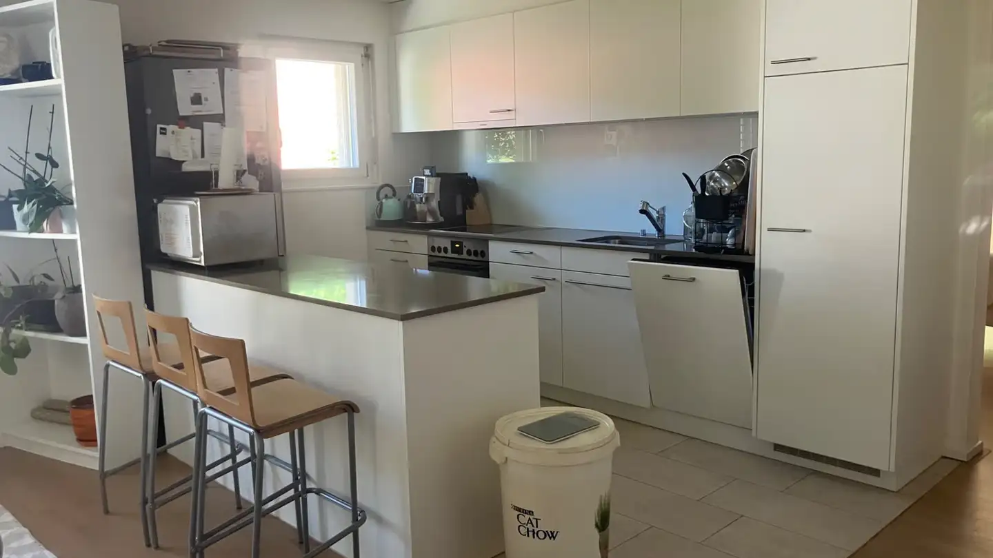 Apartment for rent - Dorfplatz 1, 5026 Densbüren - Photo 3