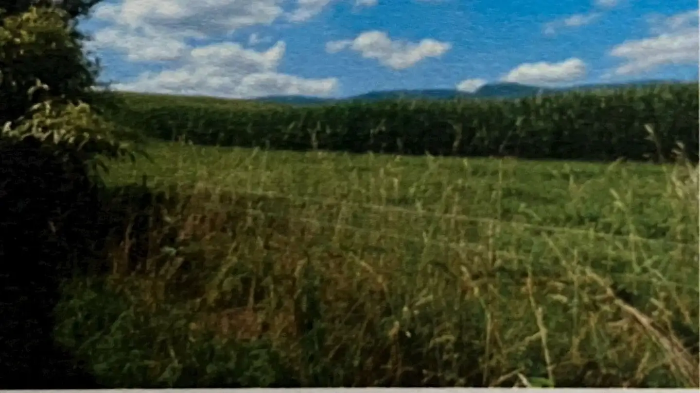 Single house for rent - 4574 Nennigkofen - Photo 3