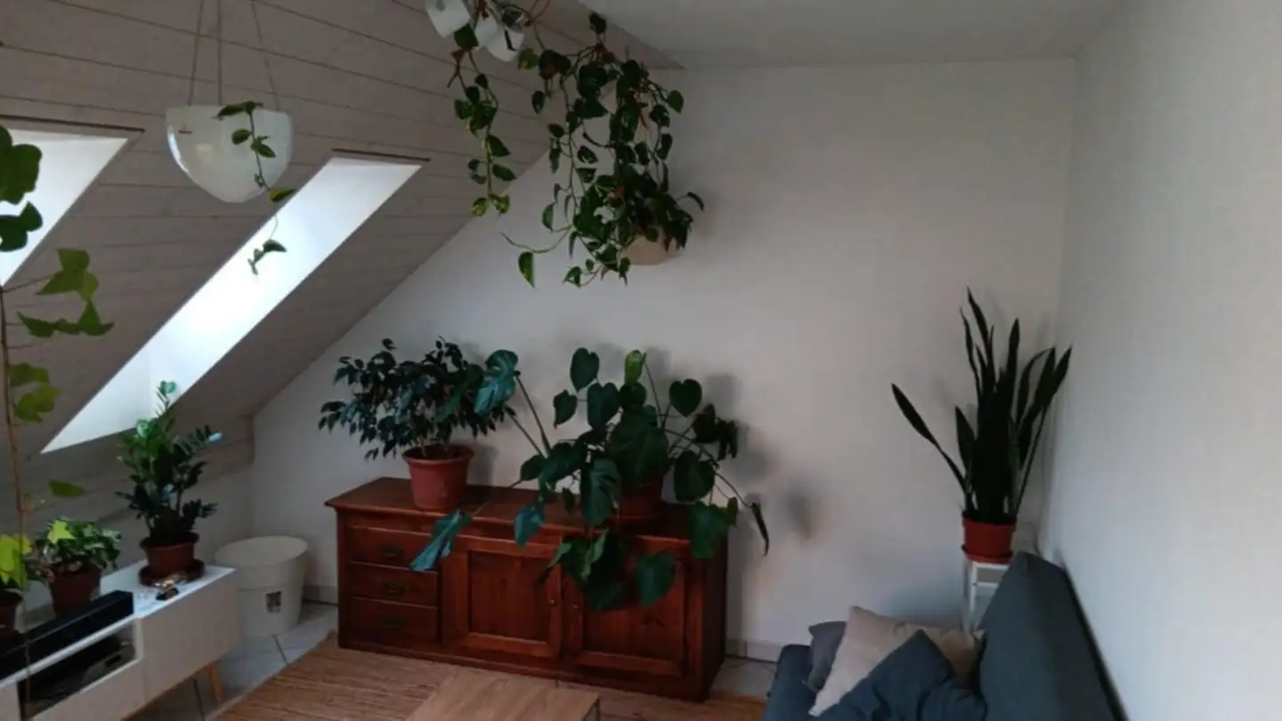 Single room for rent - 8600 Dübendorf
