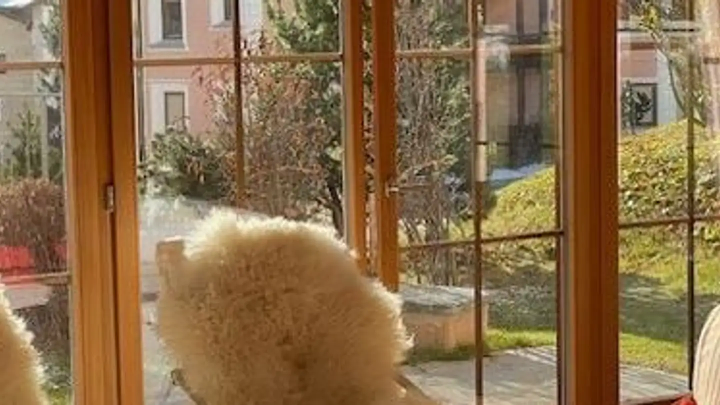 Appartamento in affitto - Via Champagna, 7524 Zuoz - Foto 2