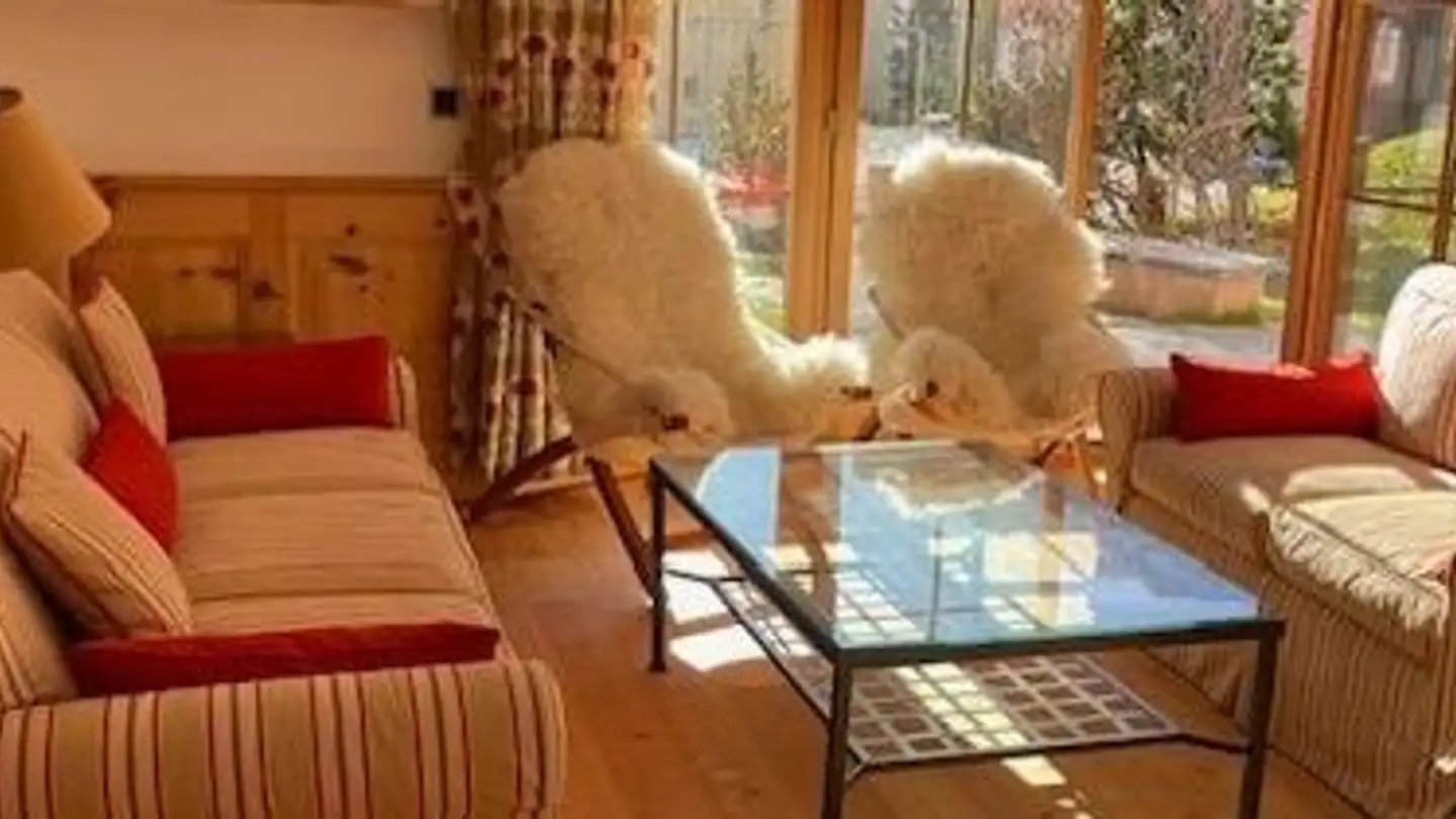 Appartamento in affitto - Via Champagna, 7524 Zuoz - Foto 4