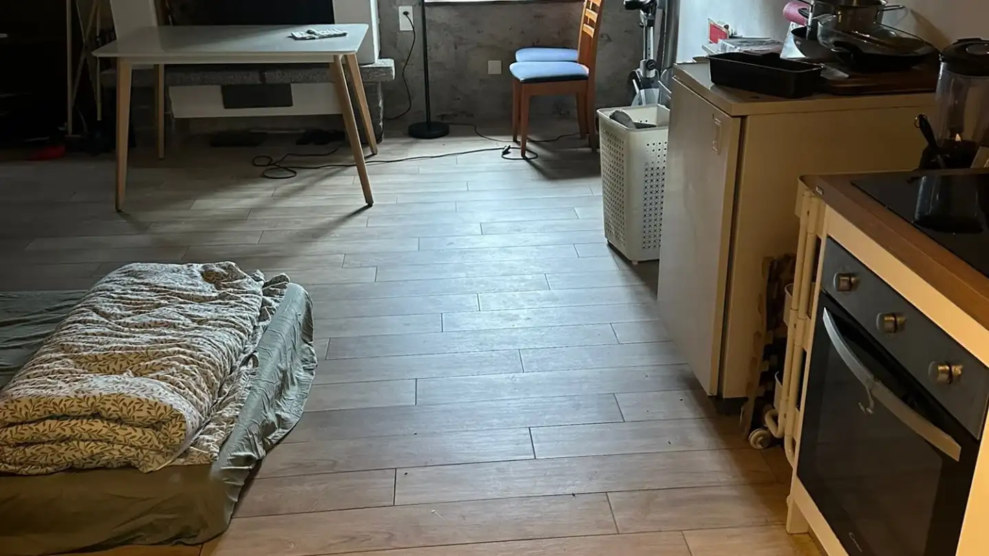 Appartement à louer - Strada Al Castell 2b, 6921 Vico Morcote - Photo 3