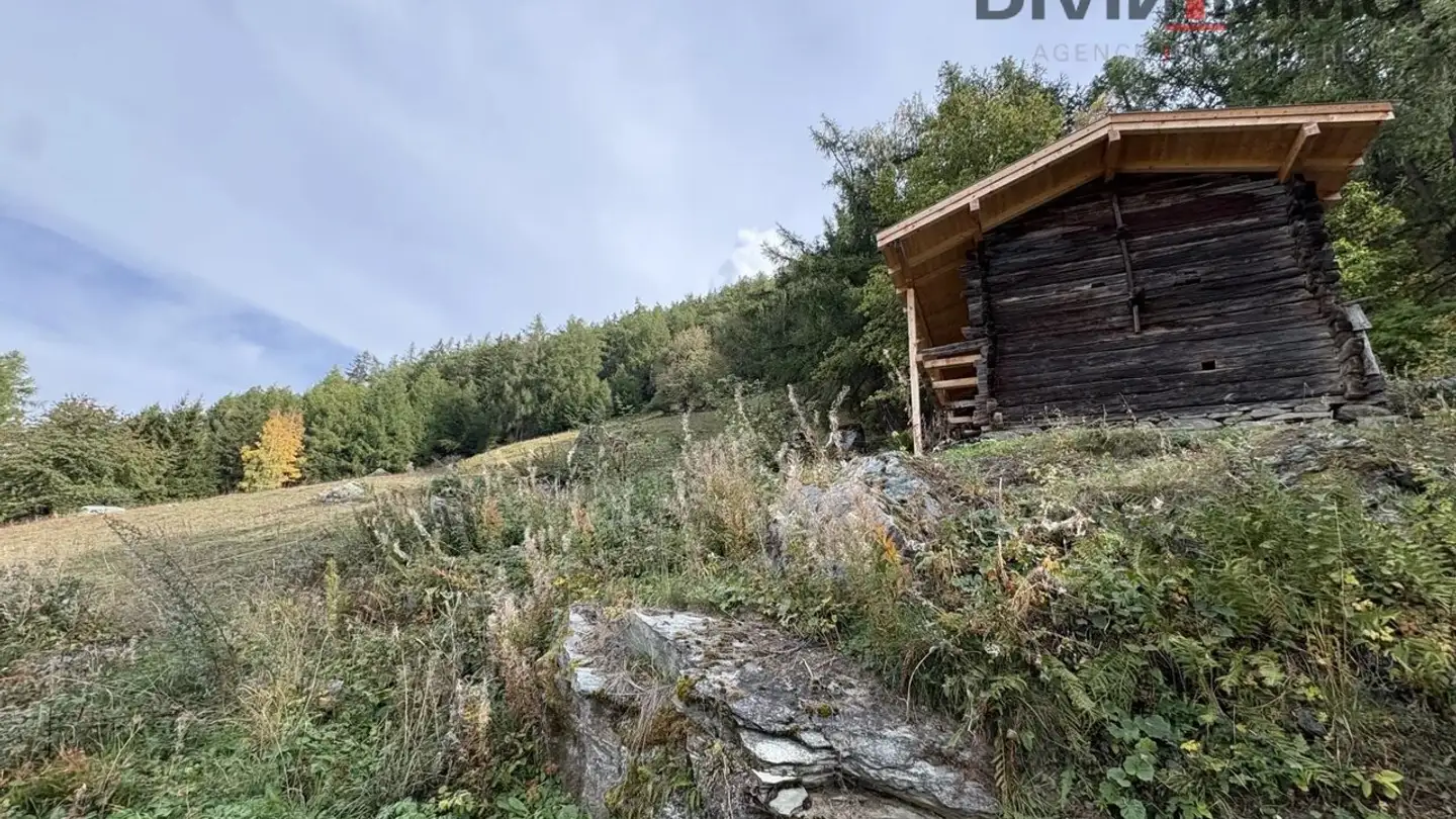 Terrain constructible à vendre - 1997 Haute-Nendaz - Photo 2