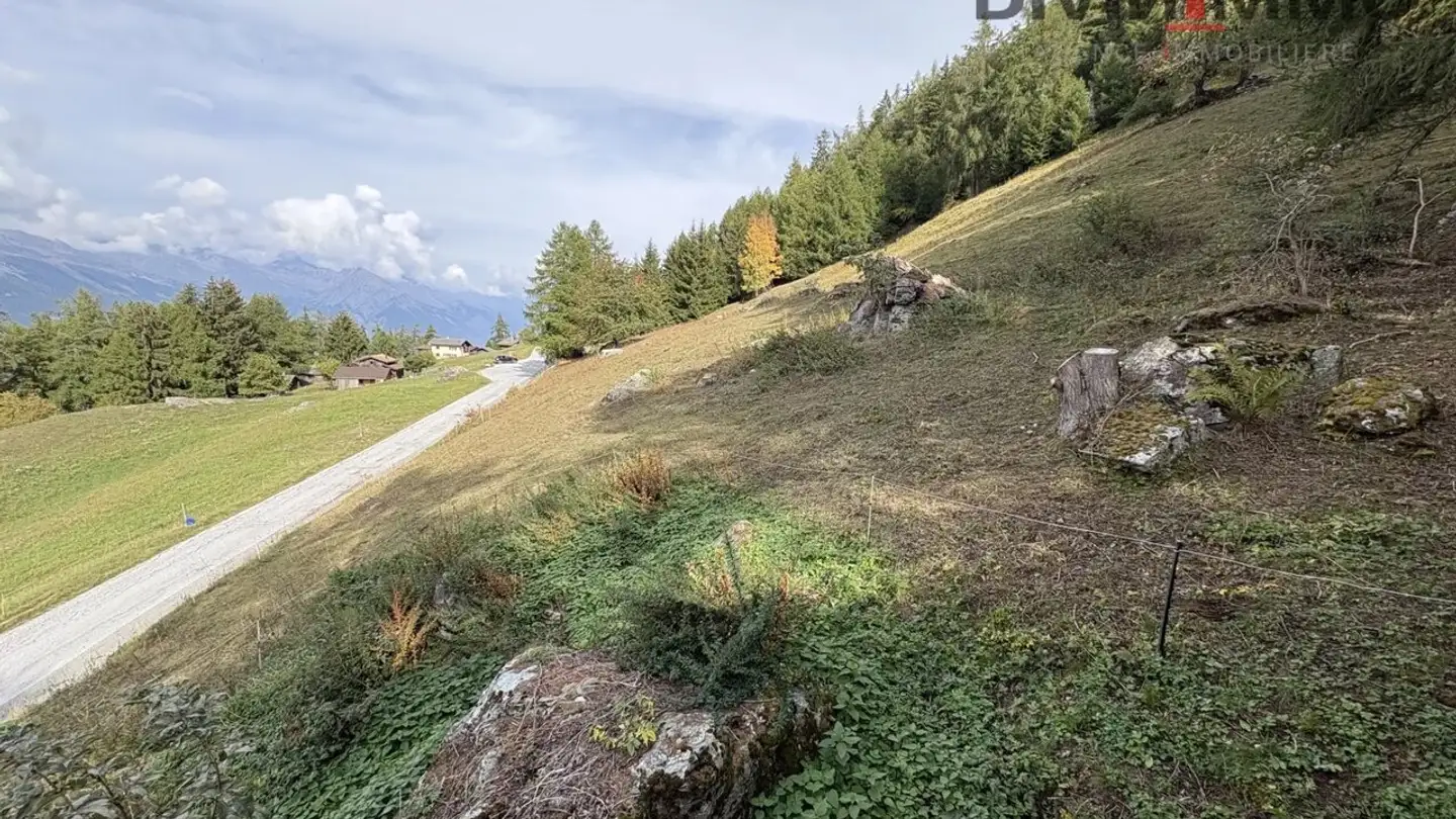 Terrain constructible à vendre - 1997 Haute-Nendaz - Photo 3