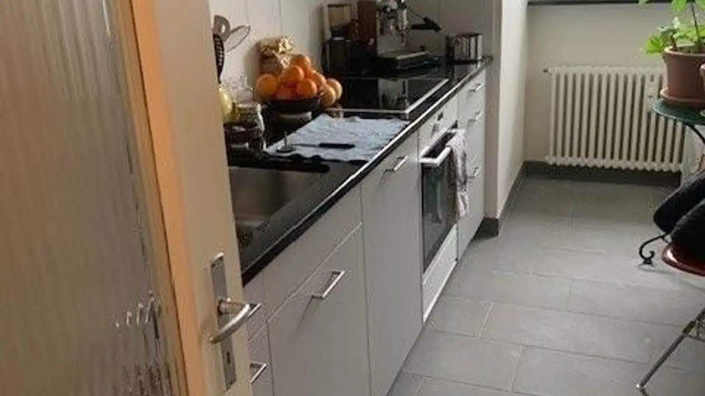 Apartment for rent - Steingrubenweg 114, 4125 Riehen - Photo 3