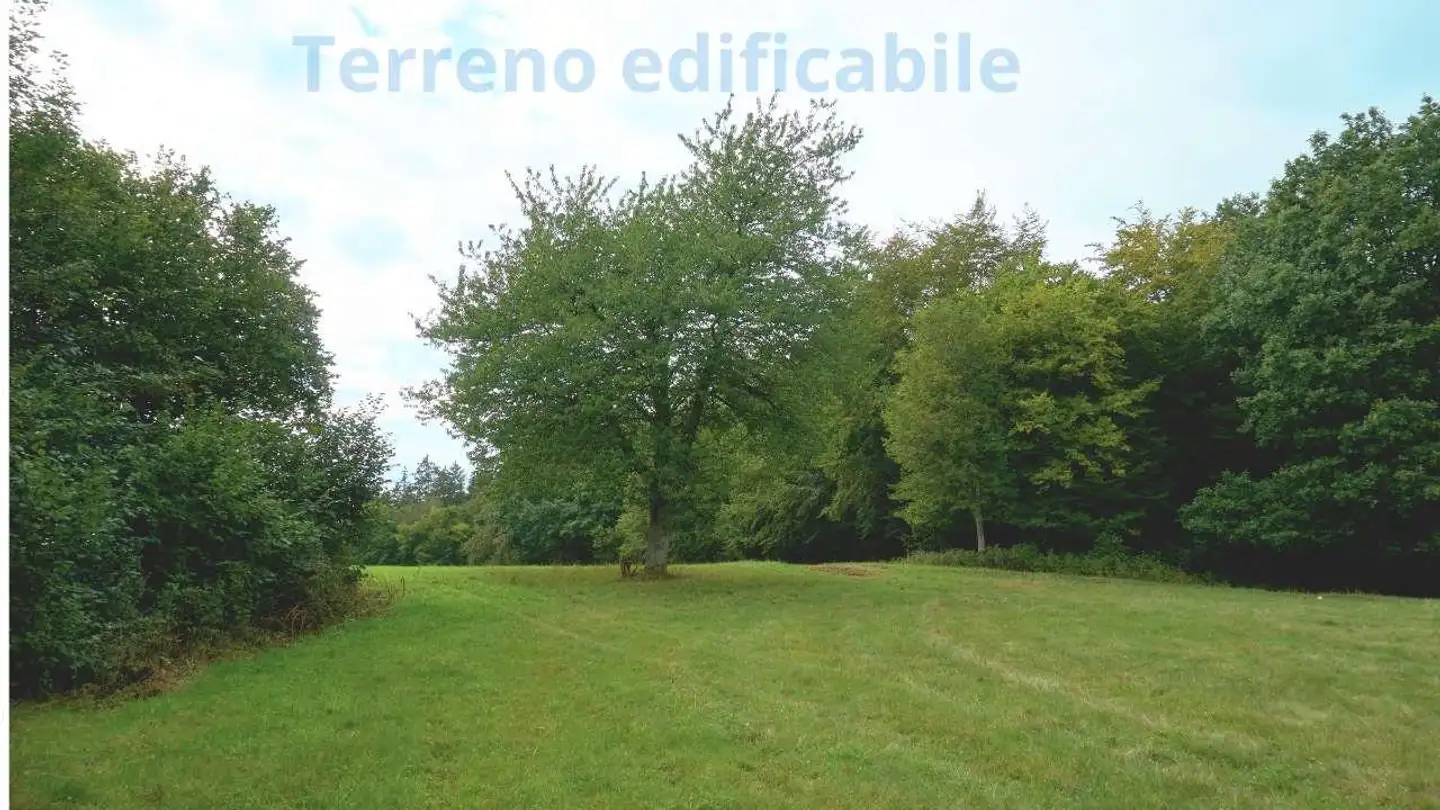 Constructible plot for sale - Via Campagna, 6503 Bellinzona