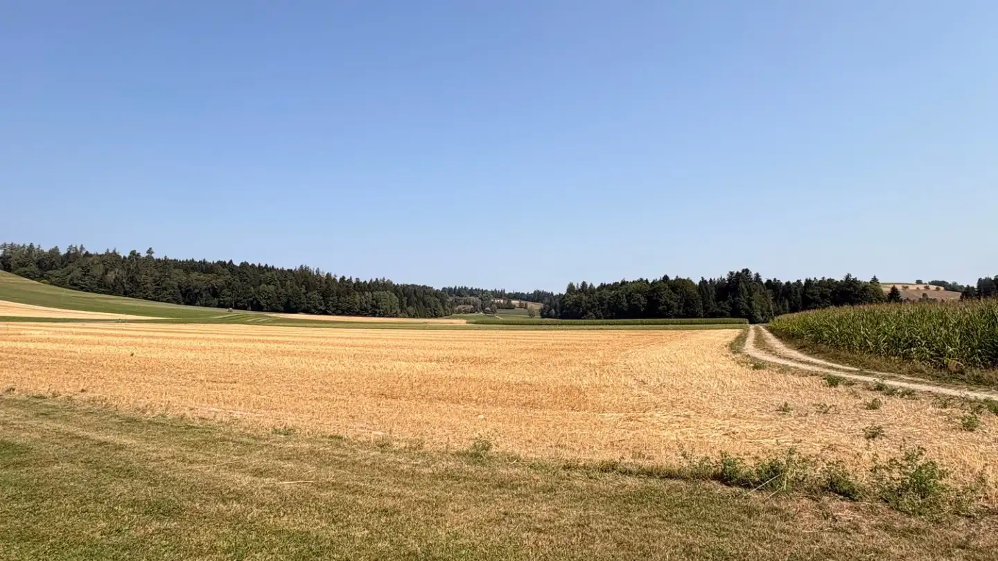 Attico in affitto - Ibachstrasse 28, 4950 Huttwil - Foto 3