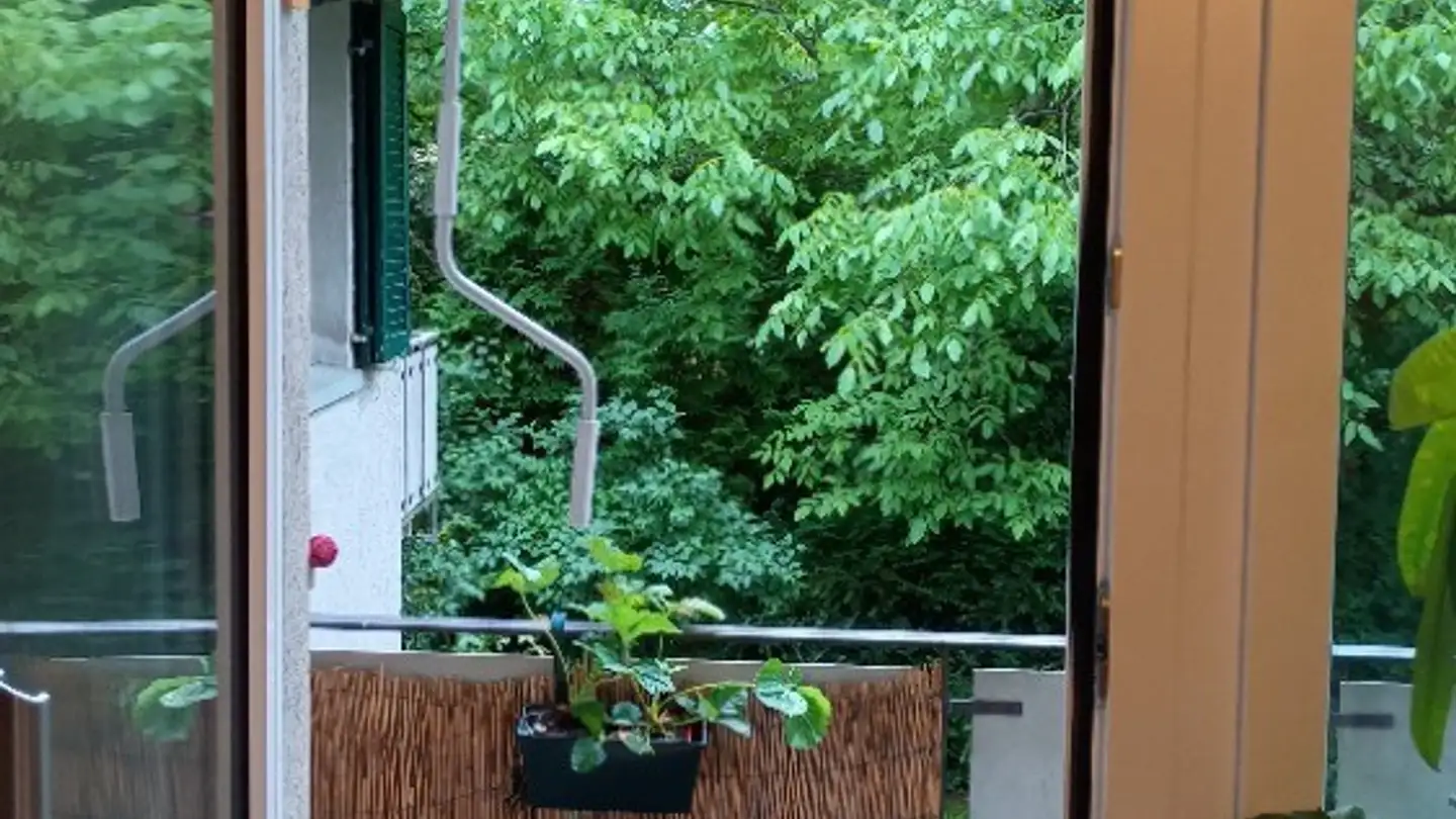 Appartement à louer - Lärchenstrasse 20, 8125 Zollikerberg - Photo 4
