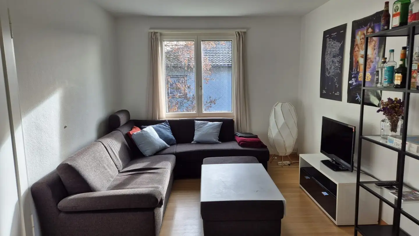 Single room for rent - Rebbergstrasse 25, 8102 Oberengstringen - Photo 2