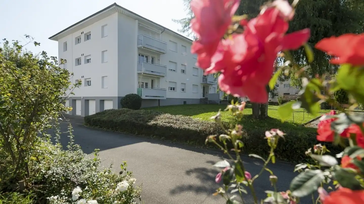 Appartement à louer - Schönmattweg 22, 3123 Belp