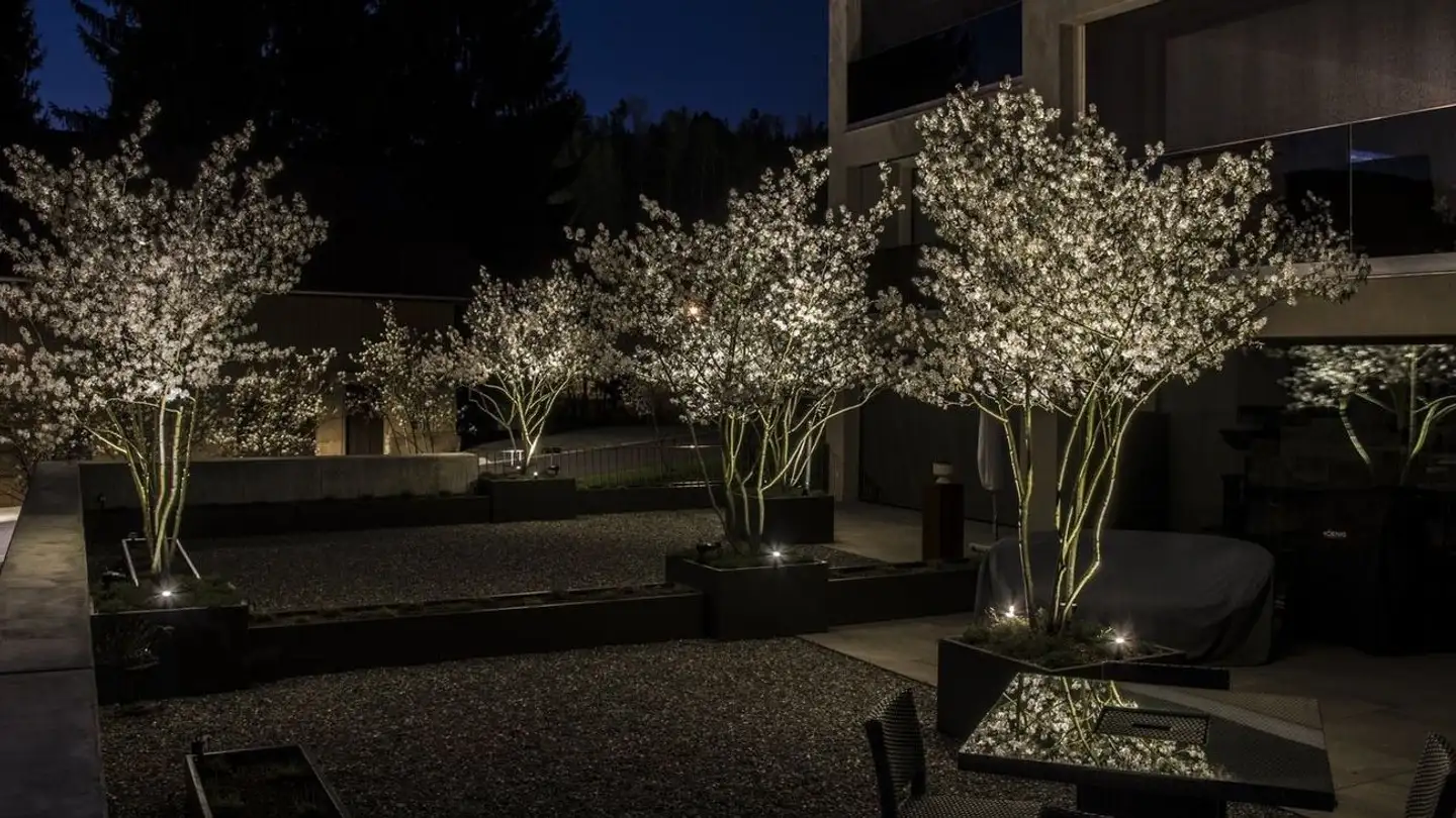 Wohnung mieten - Knubelstrasse 6, 5726 Unterkulm - Foto 3