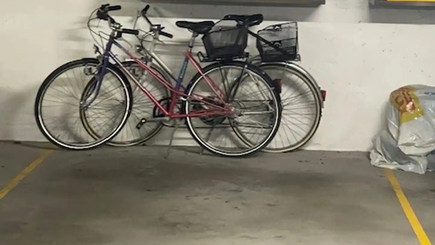 Garage singolo in affitto - Rudolf-Hägi-Strasse 21, 8052 Zürich