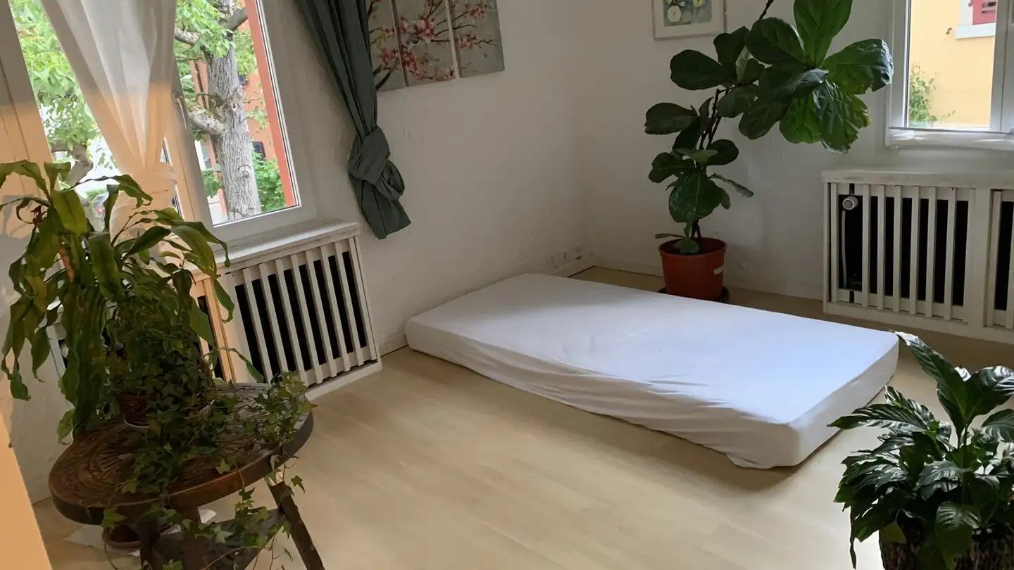 Chambre à louer - 8032 Zürich