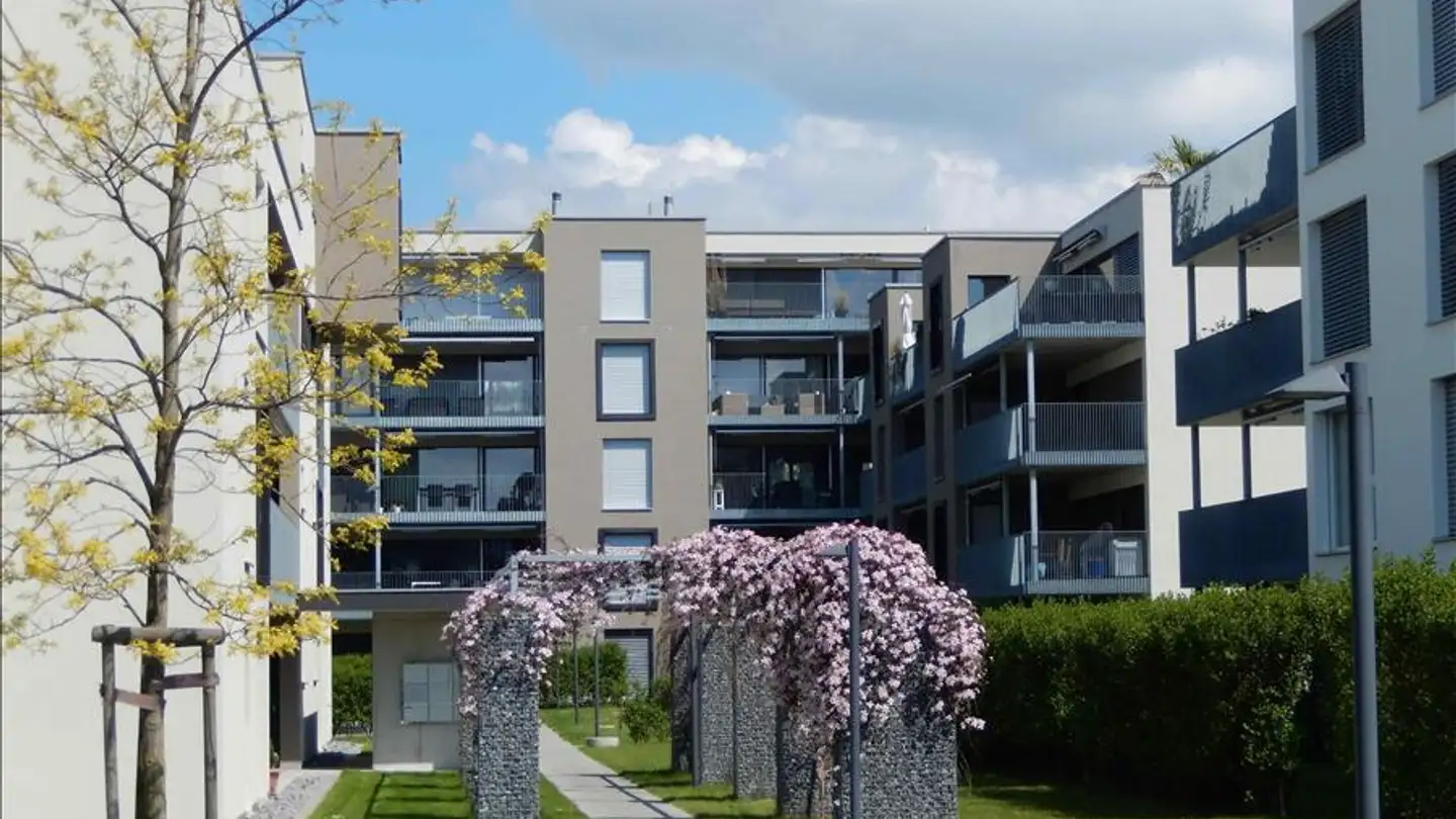 Appartamento in affitto - Zürichstrasse 49a, 8340 Hinwil