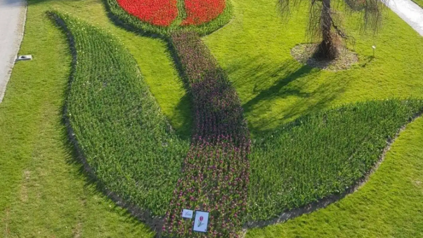 Zimmer mieten - 1110 Morges