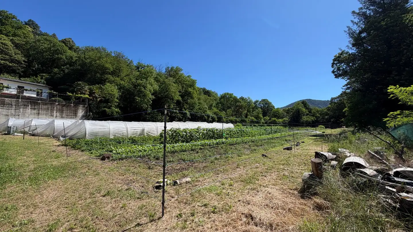 Constructible plot for sale - Via Crocivaglio, 6998 Monteggio