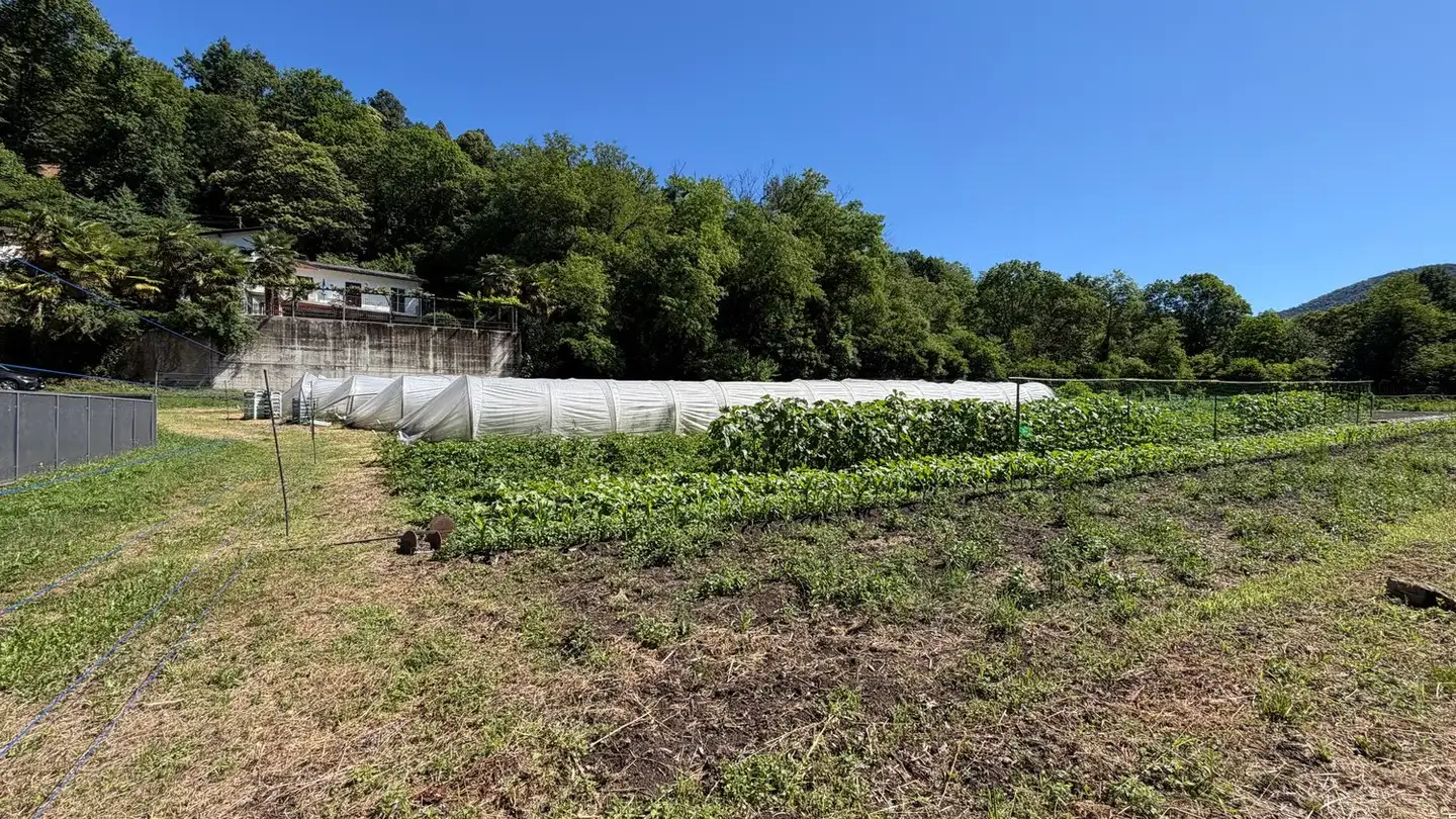 Constructible plot for sale - Via Crocivaglio, 6998 Monteggio - Photo 2