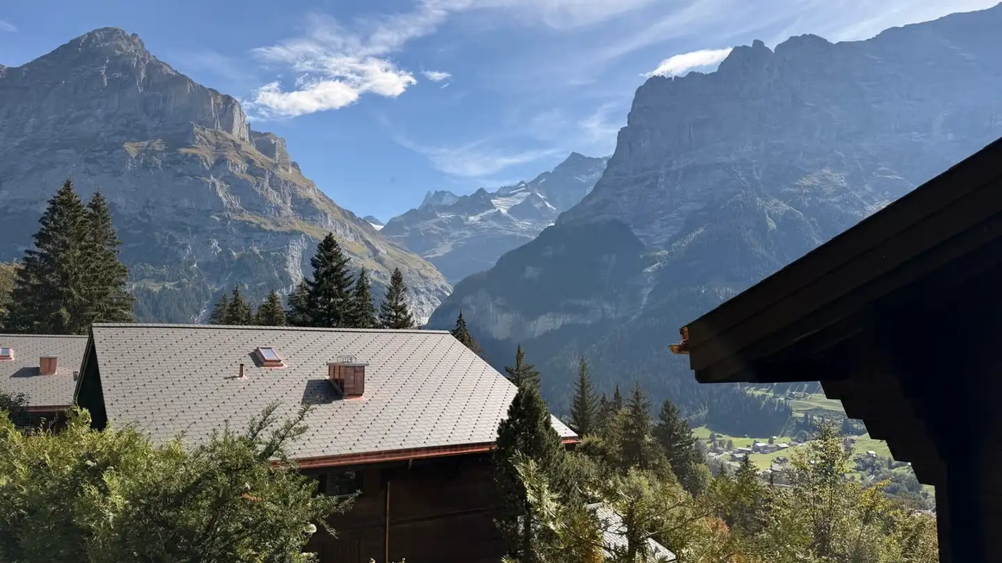 Appartement à vendre - Bussalpstrasse 11, 3818 Grindelwald - Photo 3