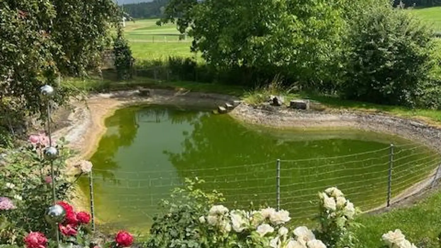 Maison individuelle à louer - Im Tüll 16, 8353 Elgg - Photo 3