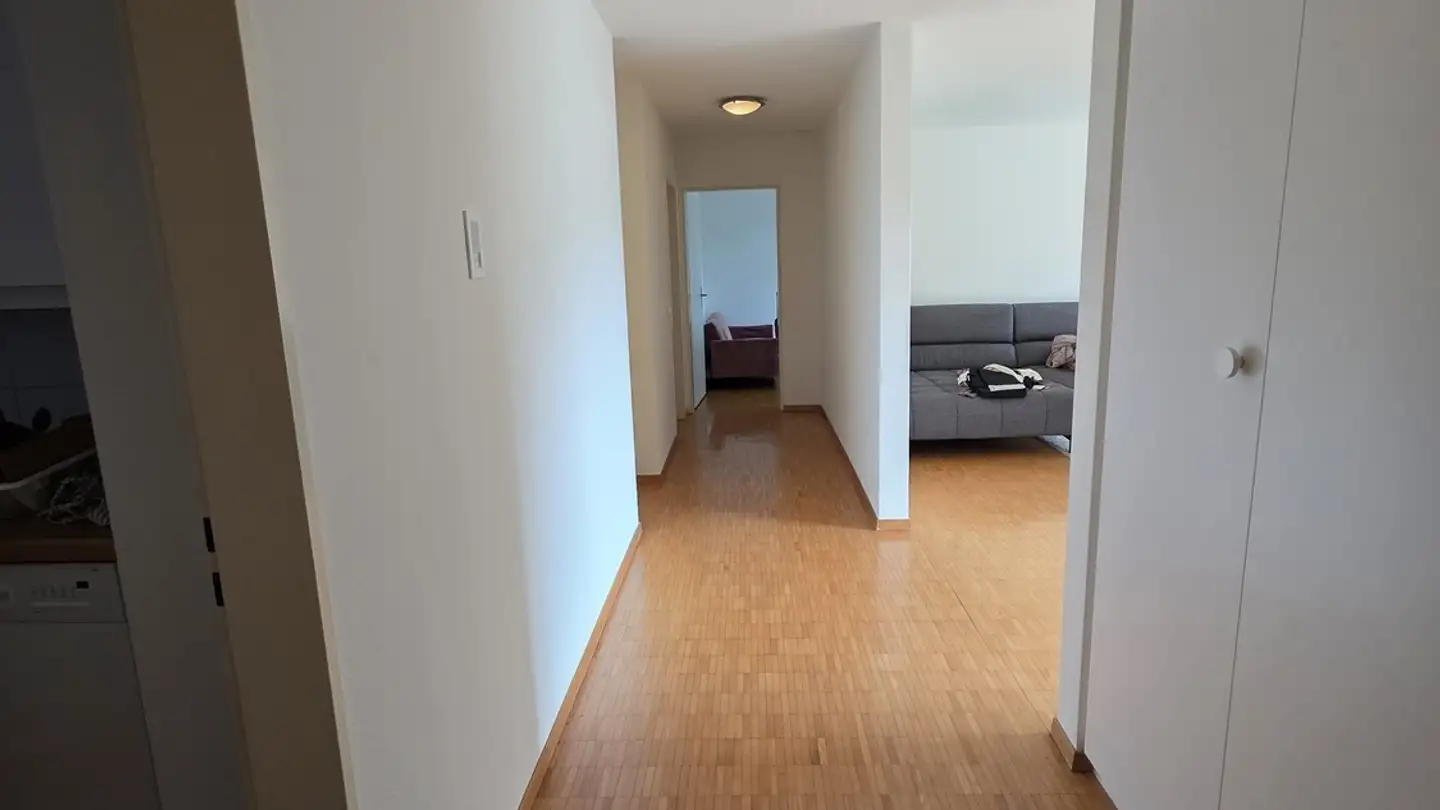 Appartement à louer - In Der Fadmatt, 8902 Urdorf - Photo 4