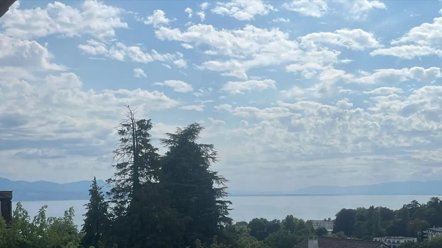 Apartment for rent - Avenue De Bellevue, 1009 Pully - Photo 3