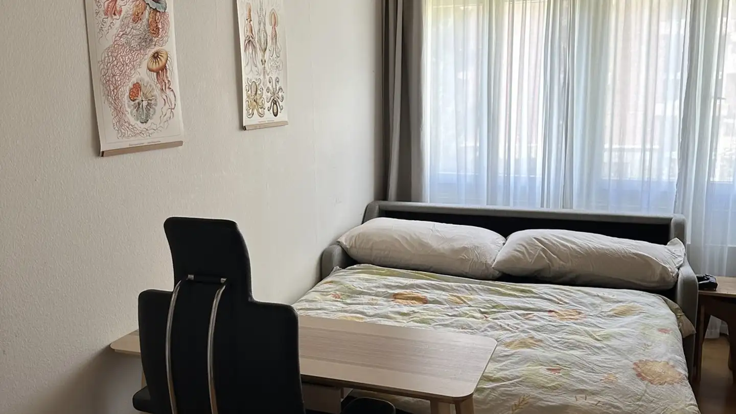 Furnished apartment for rent - 8002 Zürich