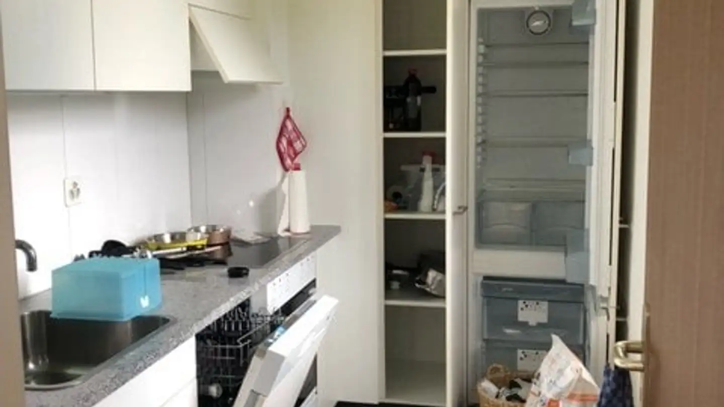 Appartement à louer - Via Del Tiglio 3, 6592 S. Antonino - Photo 2