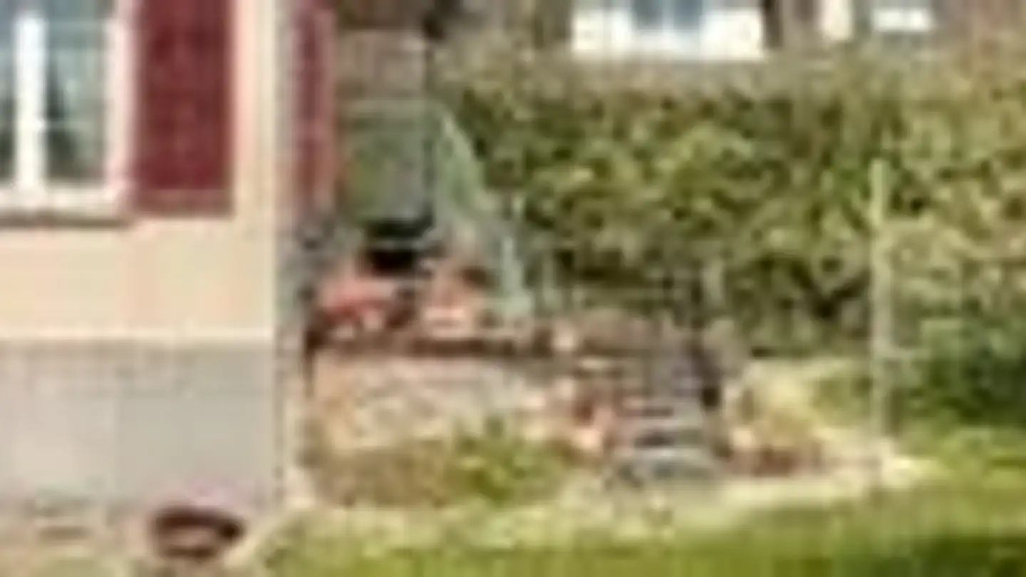 Single house for sale - Beinhausweg, 3280 Murten - Photo 3