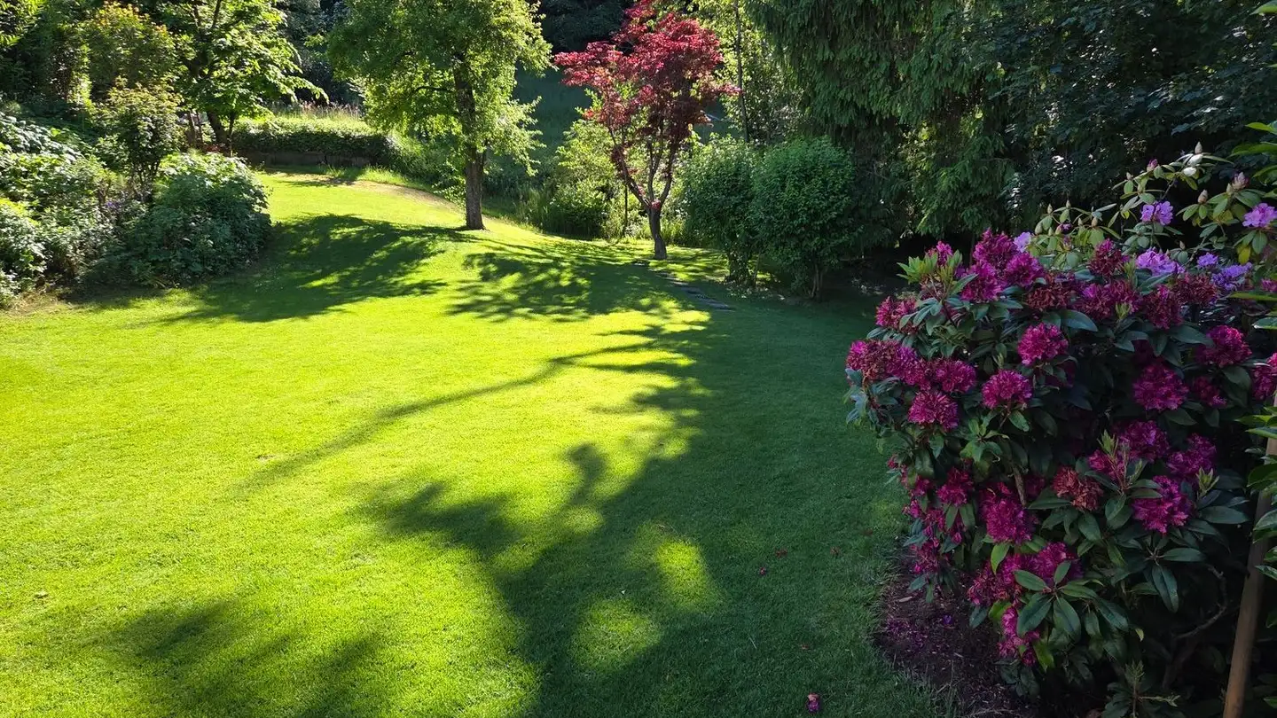 Penthouse for rent - 8810 Horgen - Photo 4
