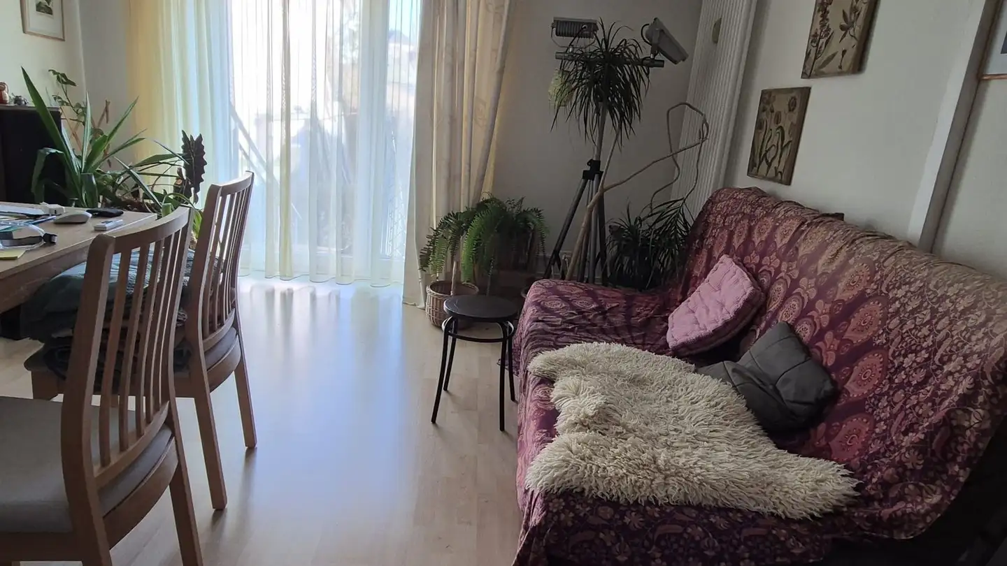 Wohnung mieten - 8200 Schaffhausen