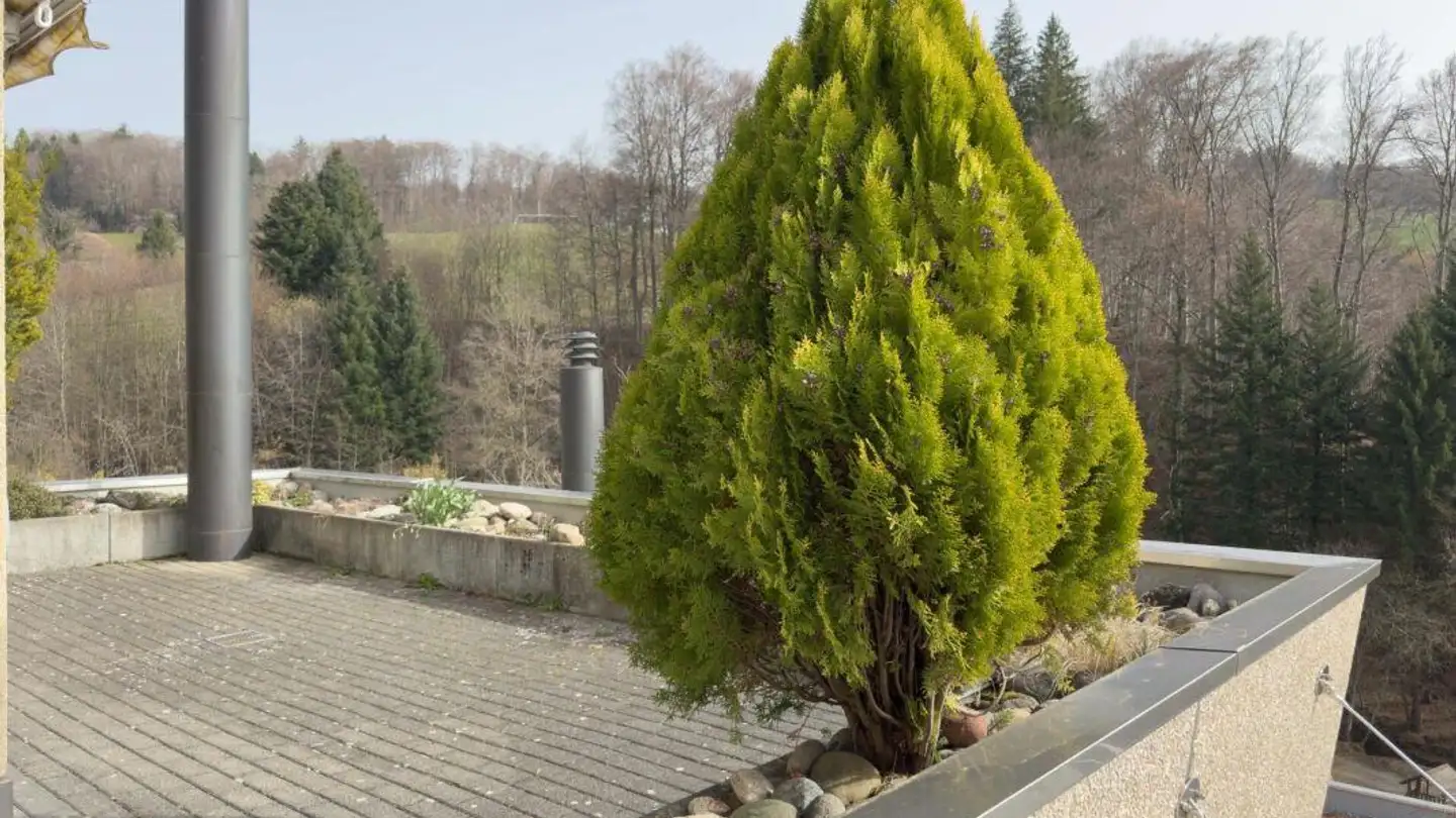 Stepped house for sale - Unterer Rainweg, 3068 Utzigen - Photo 2