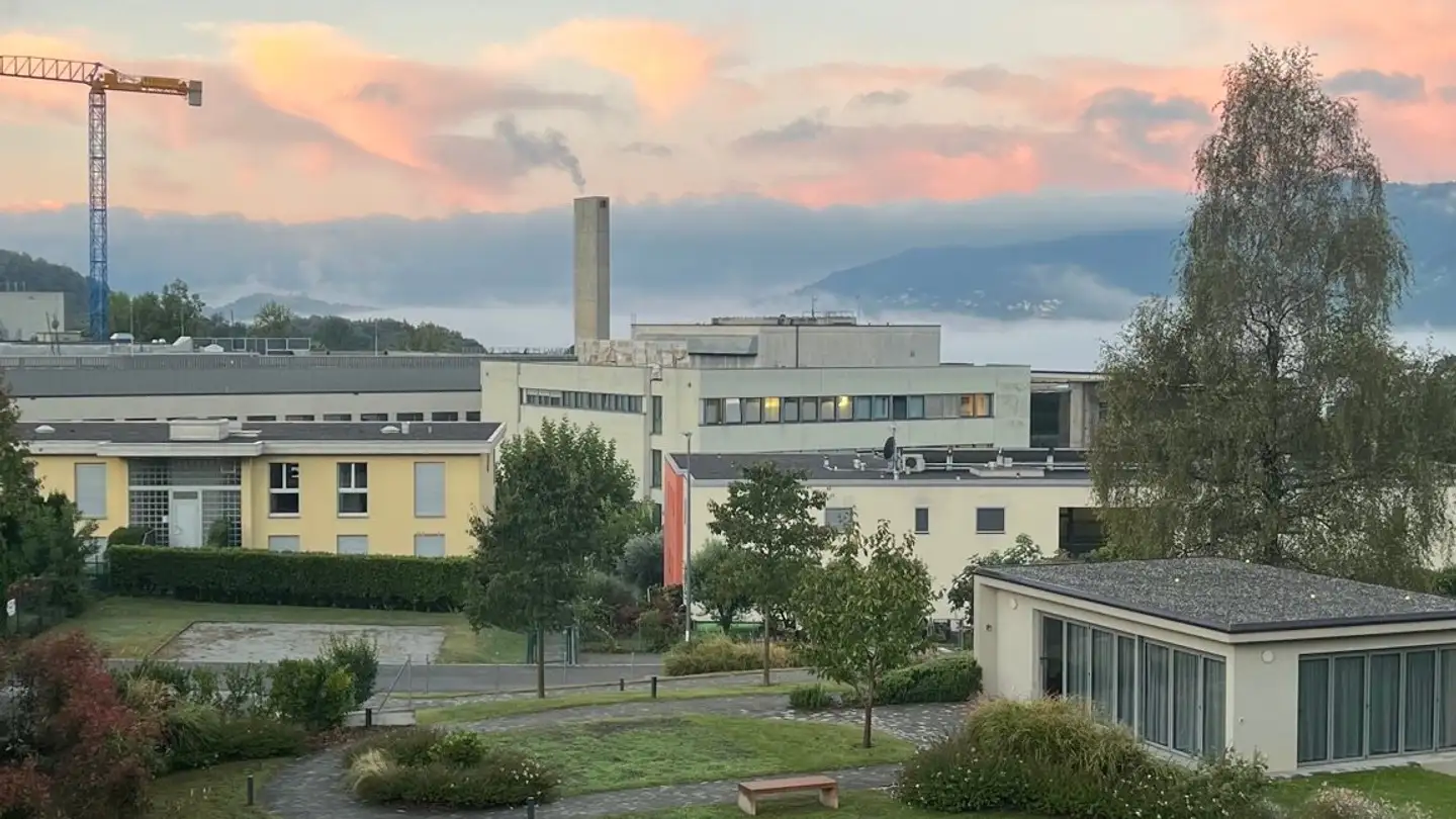 Wohnung mieten - 6949 Comano - Foto 2