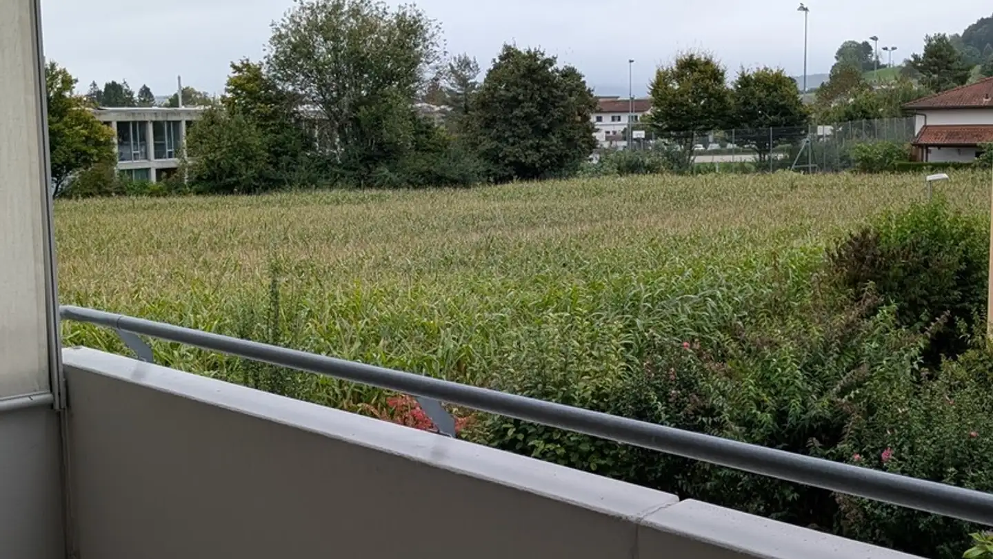 Appartamento in vendita - Spitzwiesenstrasse 45, 8957 Spreitenbach - Foto 3
