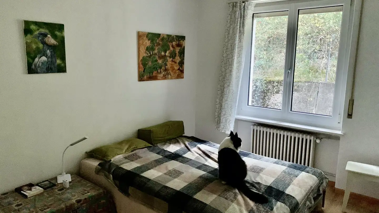 Möblierte Wohnung mieten - Schönenwerderstrasse 49, 5000 Aarau - Foto 3