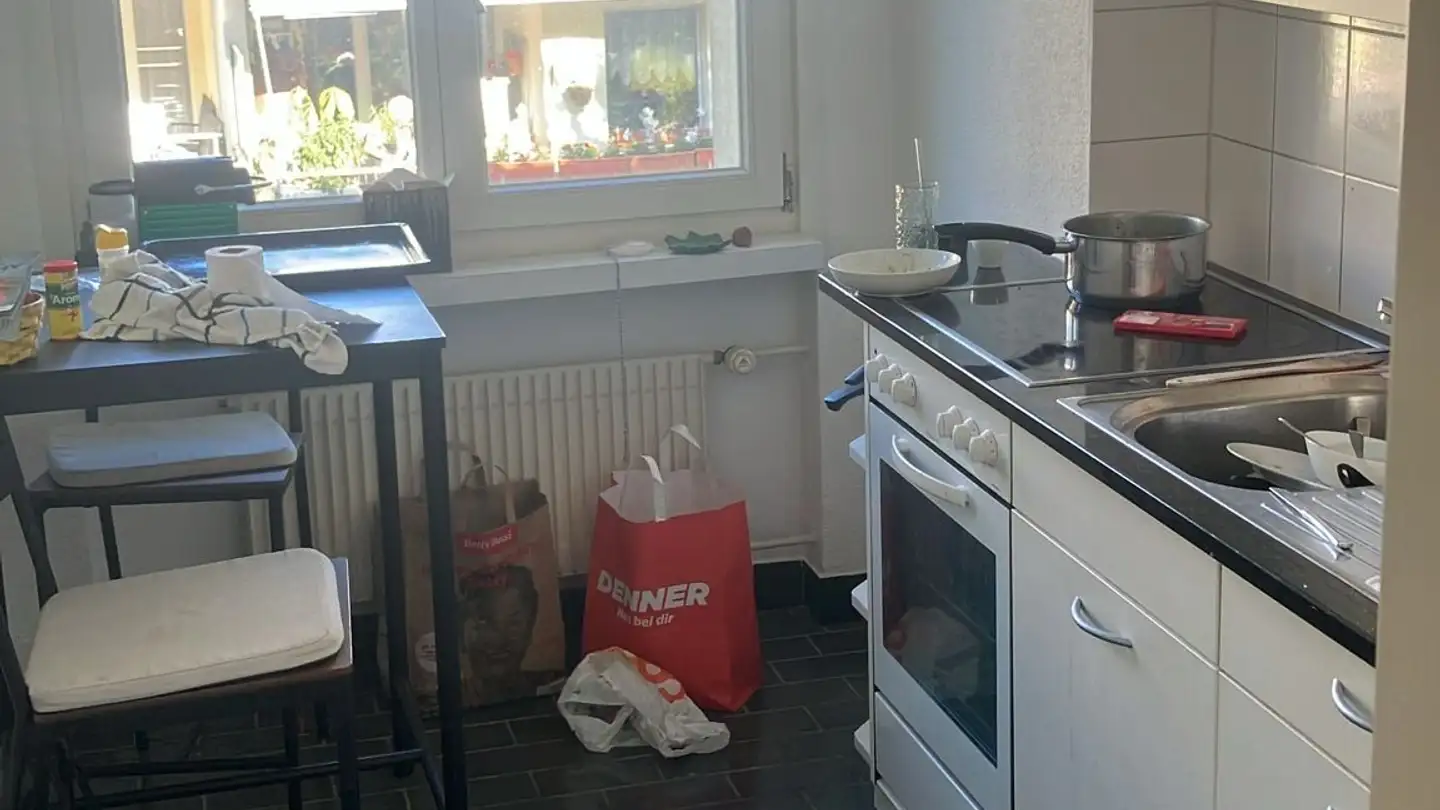 Appartamento in affitto - Stallikonerstrasse 62, 8903 Birmensdorf ZH - Foto 3