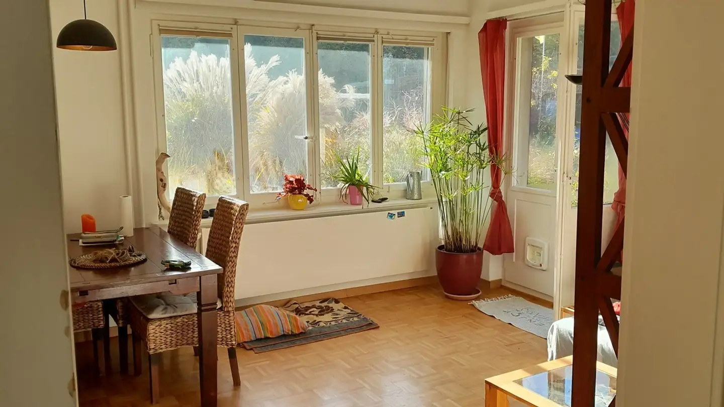 Stanza singola in affitto - 8400 Winterthur