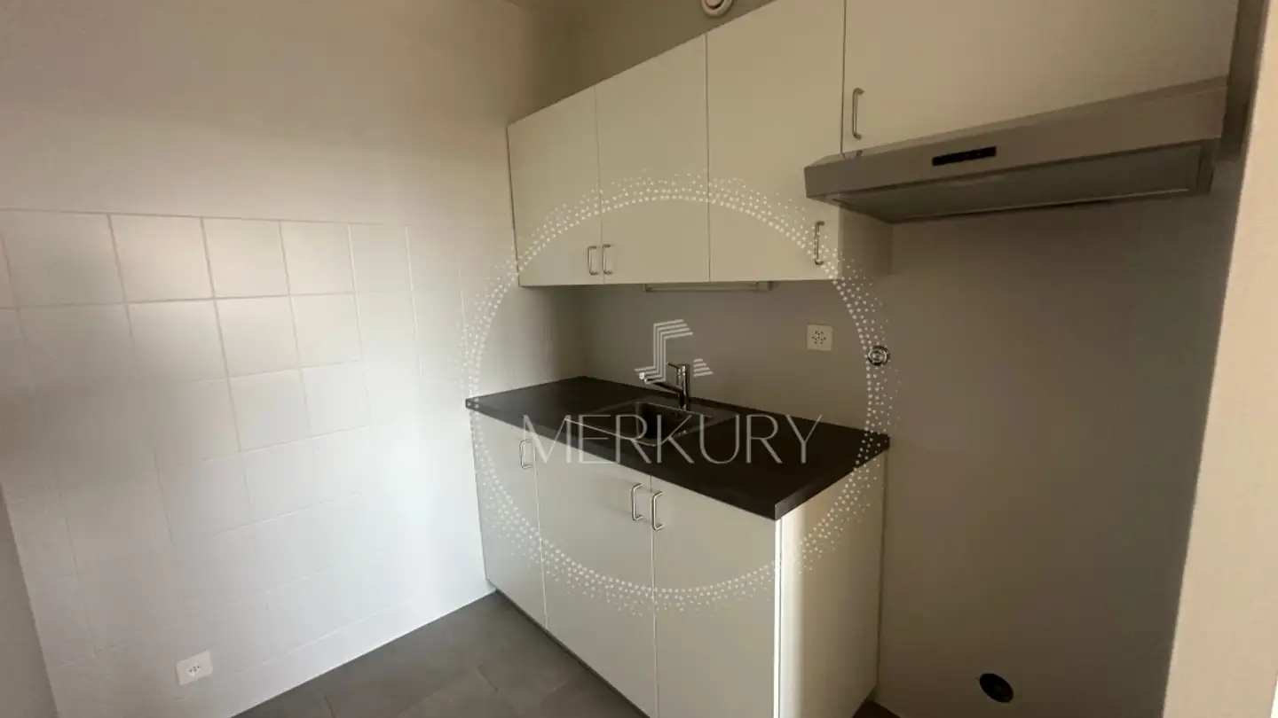 Appartamento in affitto - 1219 Châtelaine