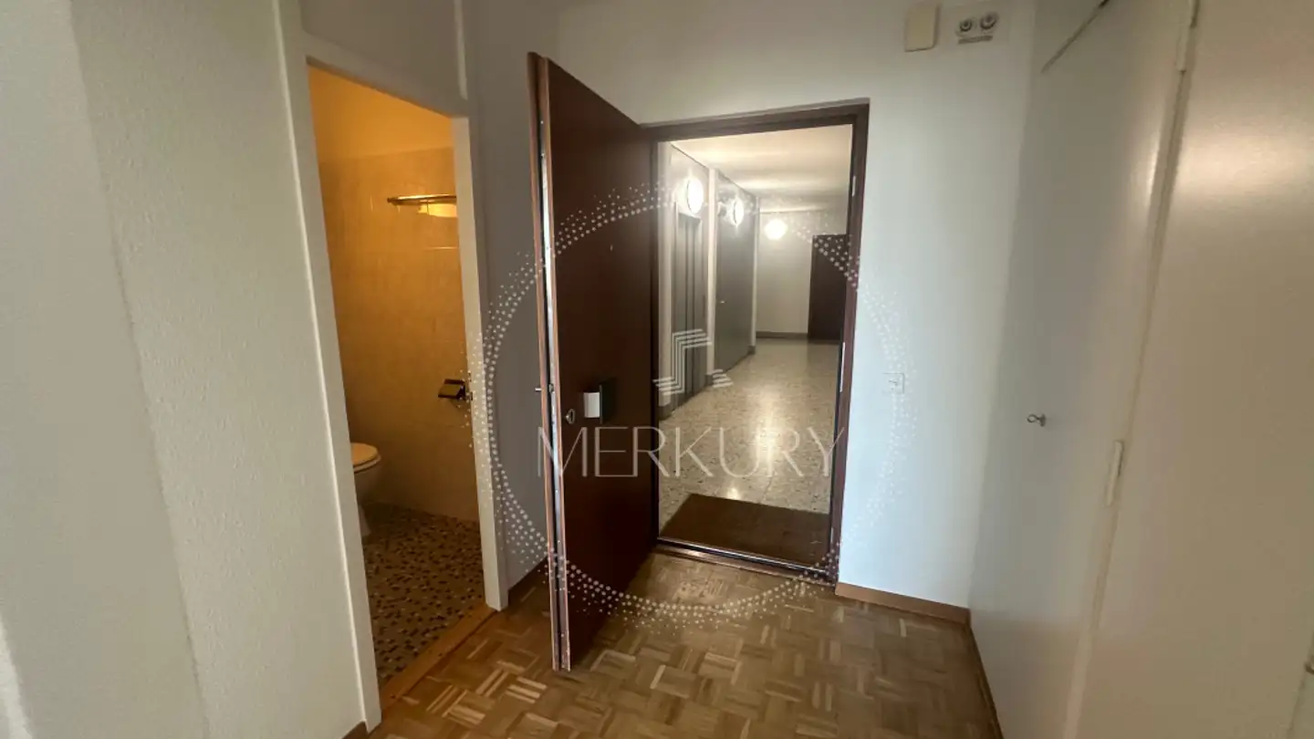 Appartamento in affitto - 1219 Châtelaine - Foto 3