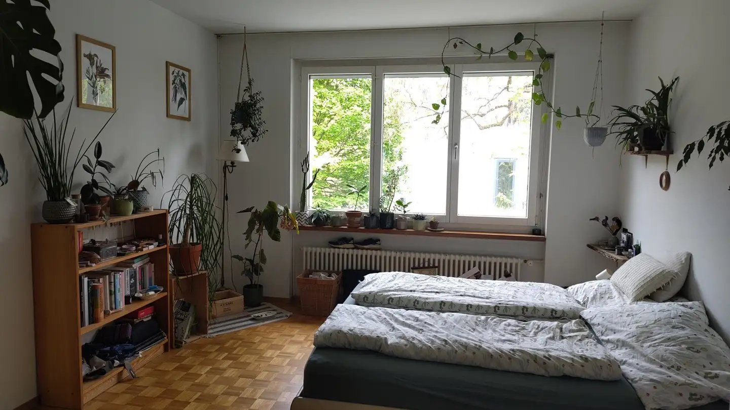 Appartamento in affitto - 8400 Winterthur