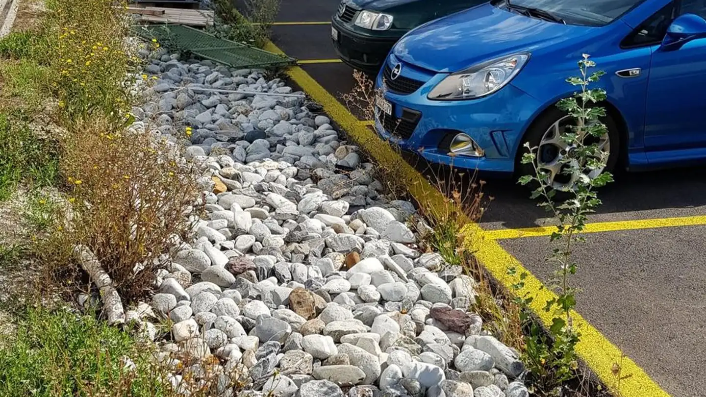 Commerciale in affitto - Route Du Rhône 8, 1963 Vétroz - Photo 3