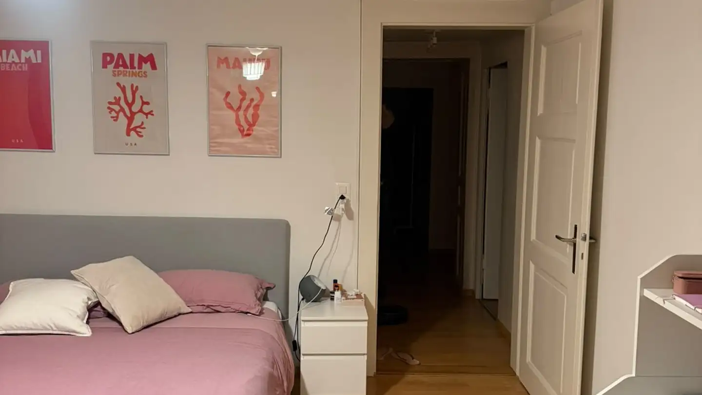 Chambre à louer - Metzgergasse 15, 8001 Zürich - Photo 2