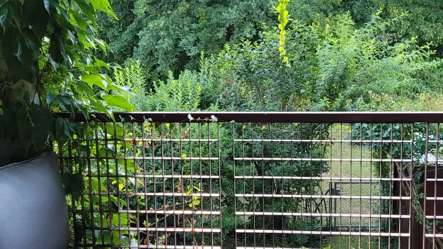 Apartment for rent - Chemin Édouard-Olivet, 1226 Thônex