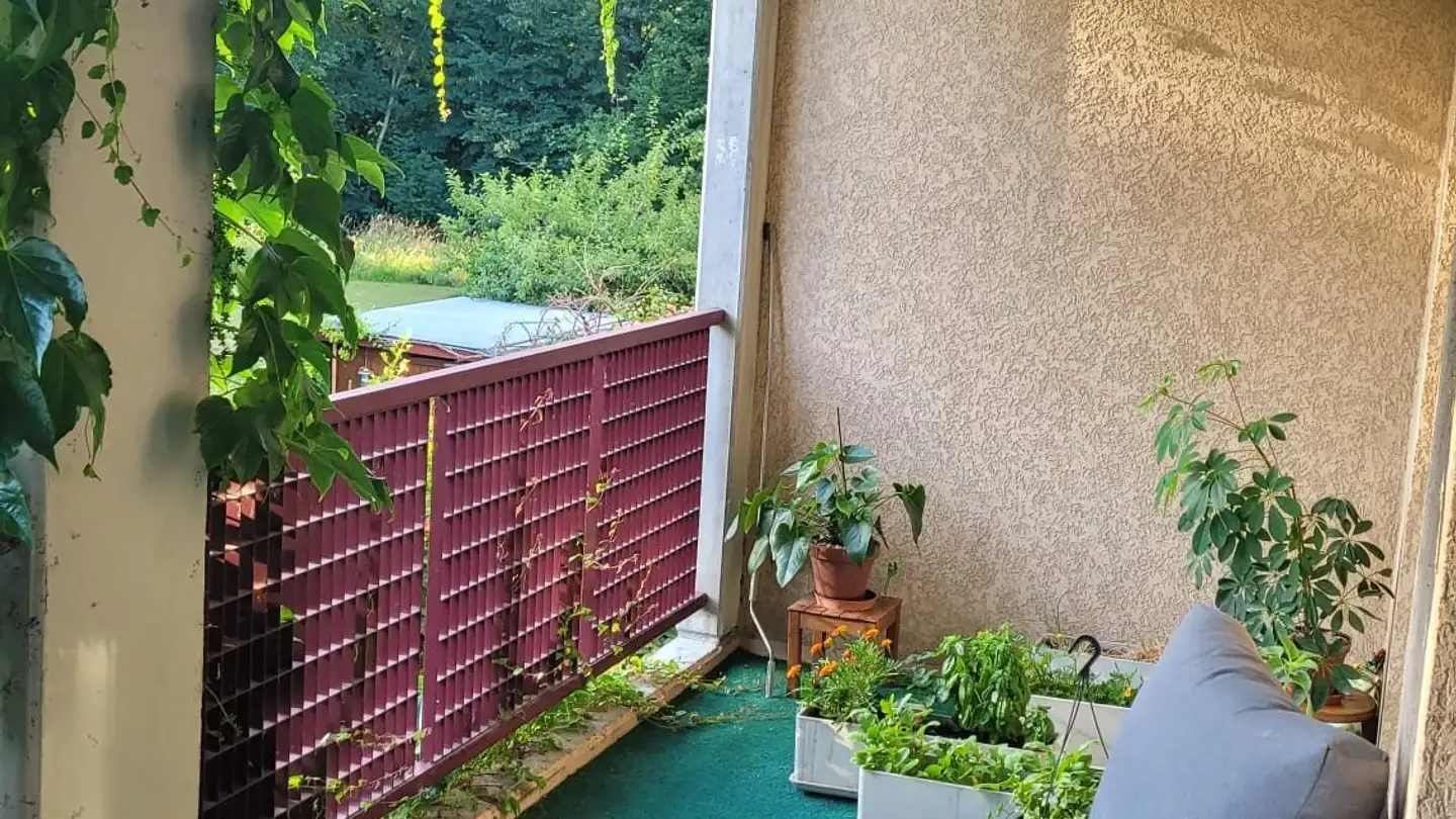 Apartment for rent - Chemin Édouard-Olivet, 1226 Thônex - Photo 4