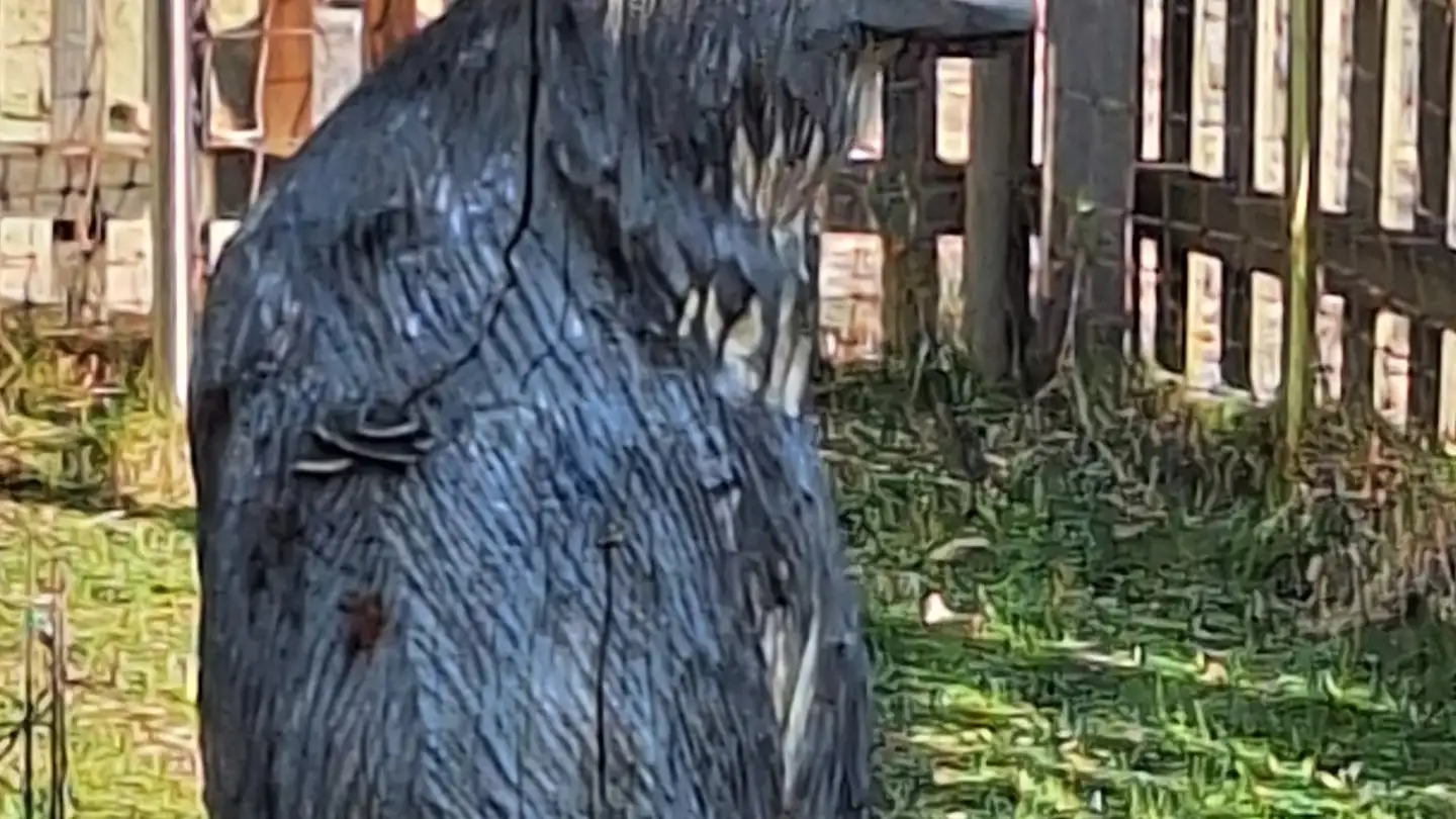 Attic flat for rent - Hauptstrasse 41, 4952 Eriswil