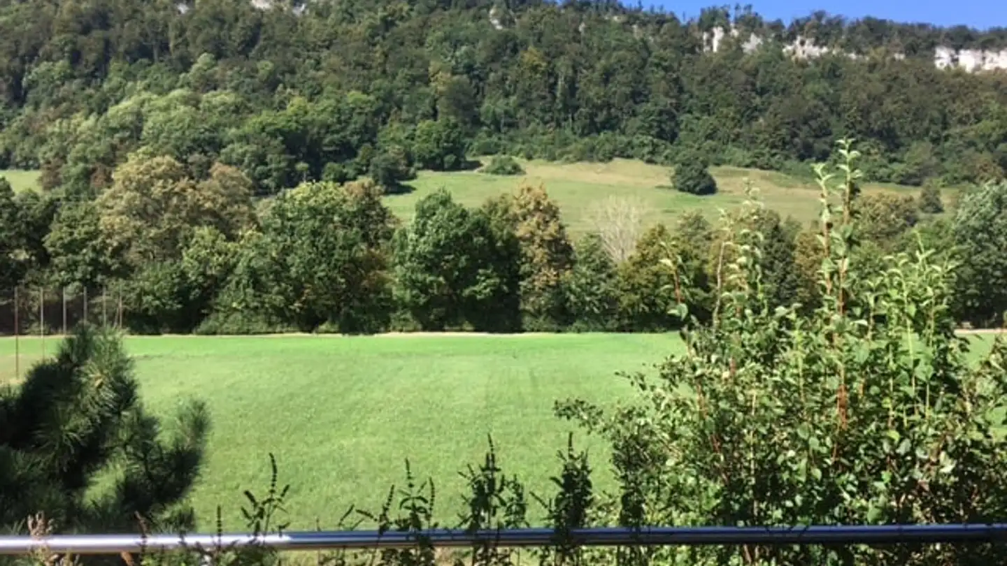 Apartment for rent - Tulpenweg 8, 4663 Aarburg - Photo 2